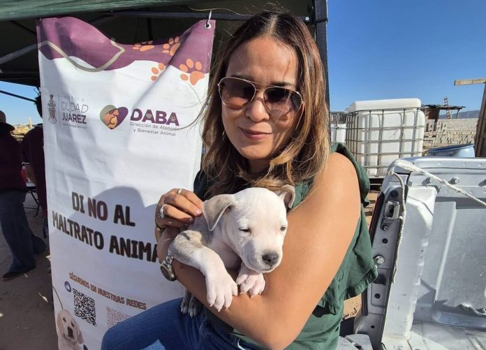 Acerca DABA servicios gratuitos al Kilómetro 31 de Ciudad Juárez – ADN