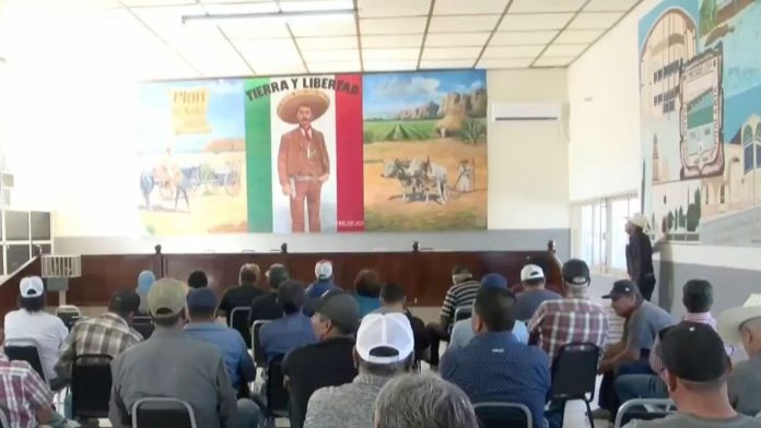 Frenan Cambios en Leche del Bienestar tras Inconformidad de los Productores en Chihuahua