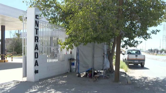 Pareja de Adultos Mayores se Refugia Bajo un Árbol en Juárez